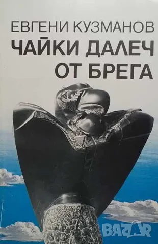 Чайки далеч от брега Евгени Кузманов