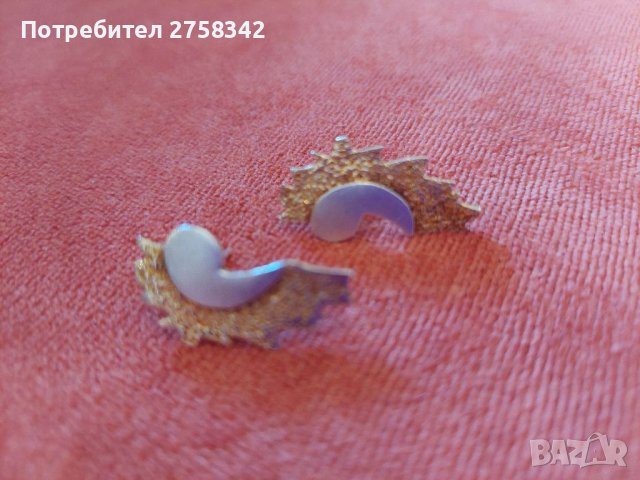 Сребърни обеци 