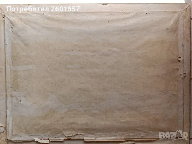 Стара картина масло "Женски портрет", бълг.автор., снимка 4 - Картини - 50366163