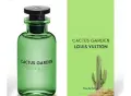 lv cactus garden, снимка 1