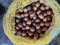 Продавам лешници , снимка 1