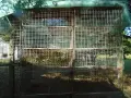 клетки за зайци заводски, снимка 3