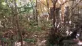 Продавам къща в Калето , снимка 8