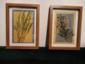 Комплект 2 бр. дървени рамки със стъкло с естествен хербарий., снимка 2