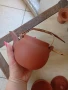 Китайски винтидж чайник , снимка 1