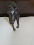стара статуетка Кон, снимка 4