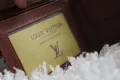 Louis Vuitton, снимка 7