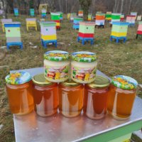Мед и пчелни продукти от Троянския балкан, снимка 1 - Пчелни продукти - 39101523