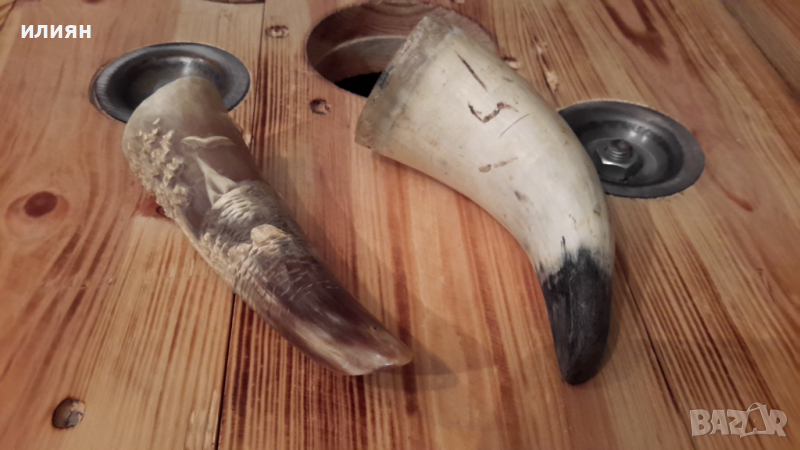 Два броя рога интересни за декорация 15лв за брой , снимка 1