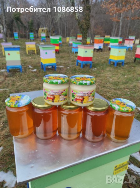 Мед и пчелни продукти от Троянския балкан, снимка 1