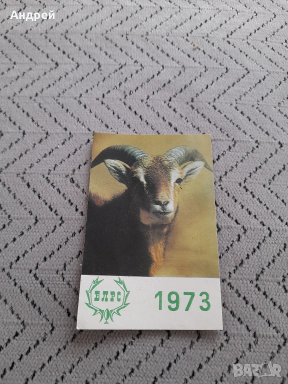 Календарче Блрс 1973, снимка 1