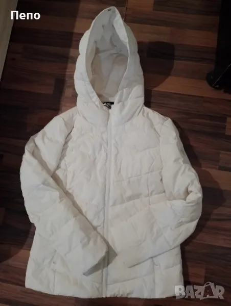 Спортно яке Ck, снимка 1