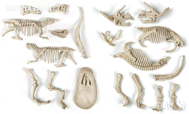 Забавна археология- Светещи скелети на Т-Рекс и Трицератопс, снимка 4 - Образователни игри - 36473858