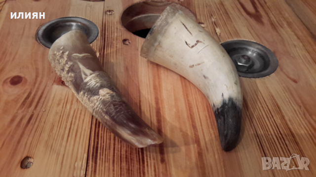 Два броя рога интересни за декорация 15лв за брой 