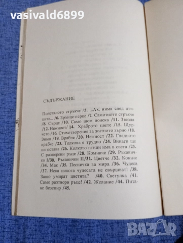 Иван Серафимов - Само разтвори ръце , снимка 5 - Детски книжки - 52952339