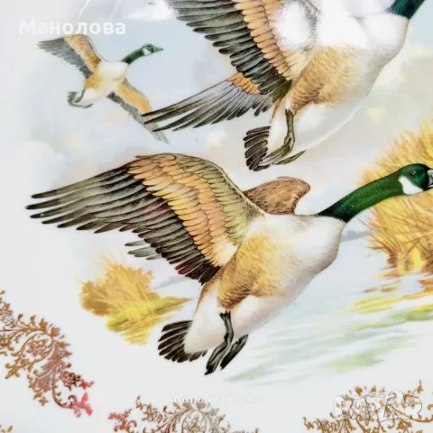 Елегантна декоративна чиния от Gainsborough Bone China, Англия. , снимка 4 - Колекции - 50090203