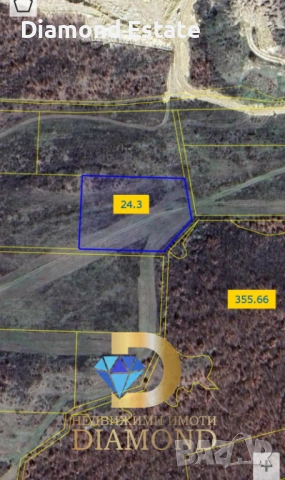 Нива в Димитровград, кв. Черноконево, снимка 2 - Земеделска земя - 53491383