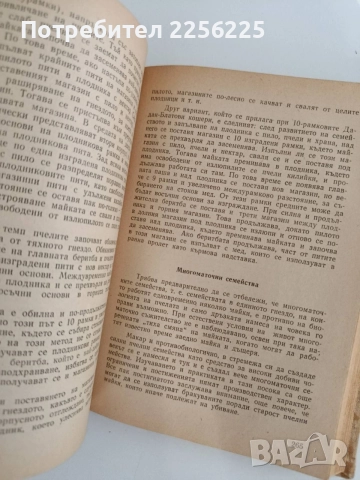 Ръководство по практическо пчеларство 1958г, снимка 4 - Специализирана литература - 55889744