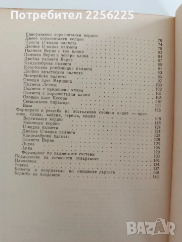 Декоративно овощарство, снимка 5 - Специализирана литература - 52920689