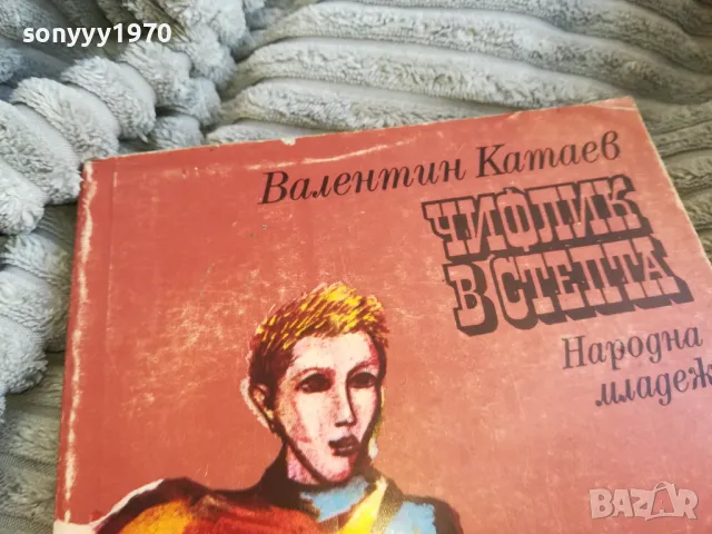 ЧИФЛИК В СТЕПТА 0701251818, снимка 6 - Художествена литература - 48590487