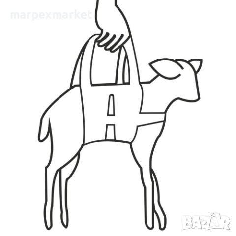 Удобен колан за теглене/повдигане на агнета