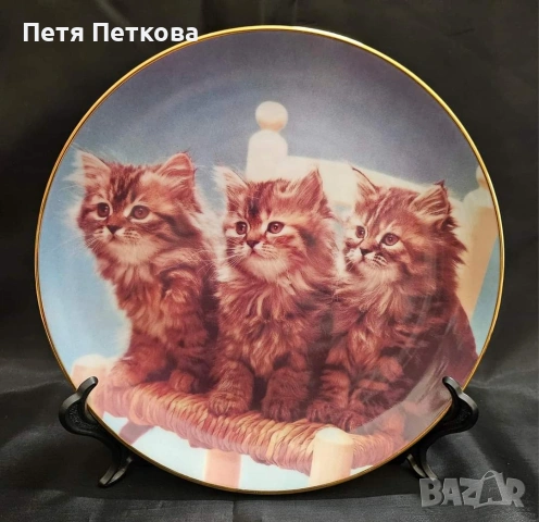 Чинии за стена , снимка 6 - Декорация за дома - 53059209