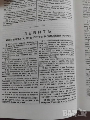 ОРИГИНАЛНА БИБЛИЯ, снимка 13 - Други - 51865545