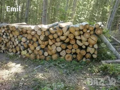Дърва за огрев- дъб, бук 