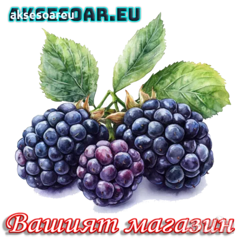  100 бр Висококачествени органични плодови семена от хранителна Къпина вкусни къпини антиоксидант, снимка 14 - Сортови семена и луковици - 50334256