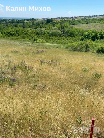 земеделска земя намираща в землището на село Белащица и Марково, снимка 16 - Земеделска земя - 52448452
