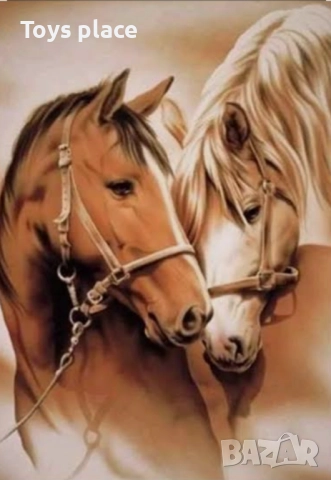 Нов диамантен гоблен Коне