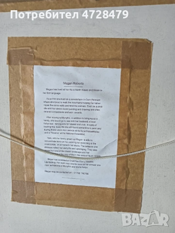  Картина маслена, снимка 4 - Картини - 53837105