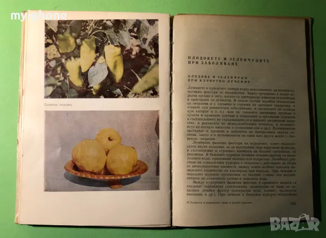 Стара Книга Плодовете и Зеленчуците Храна и Лечебно Средство, снимка 11 - Специализирана литература - 49279639