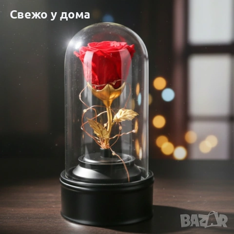ПОДАРЪК за 8-ми март Вълшебна неувяхваща роза в стъкленица с LED светлина.