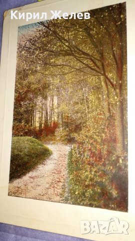 1909г. СТАРА ПОЩЕНСКА КАРТИЧКА ТВЪРД КАРТОН РЯДКА ЦВЕТНА ЛИТОГРАФИЯ ЦАРСТВО БЪЛГАРИЯ с МАРКА 32460, снимка 6 - Филателия - 38684433