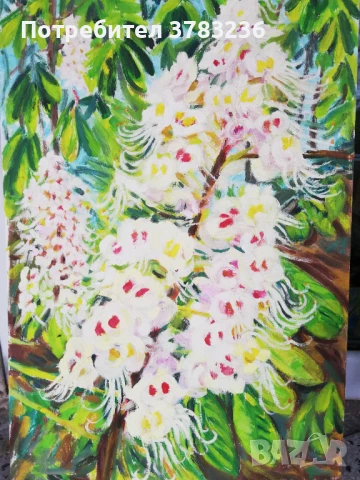 картини с маслени бои, снимка 4 - Картини - 51357899