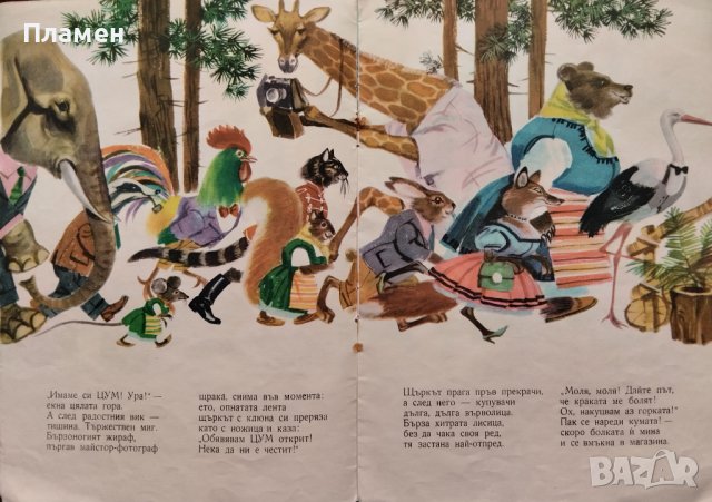 В горския ЦУМ Емилия Захариева, снимка 3 - Детски книжки - 42400468