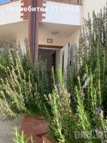 нов апартамент от строител, снимка 4 - Апартаменти - 52233429