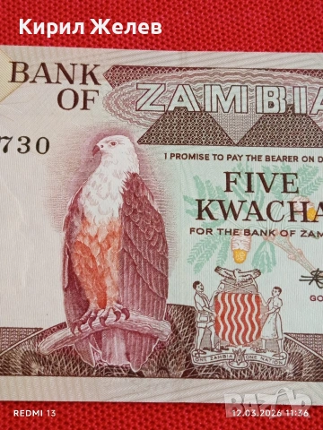 Банкнота ЗАМБИЯ много красива перфектно състояние непрегъвана за КОЛЕКЦИЯ ДЕКОРАЦИЯ 54055, снимка 3 - Нумизматика и бонистика - 53809614
