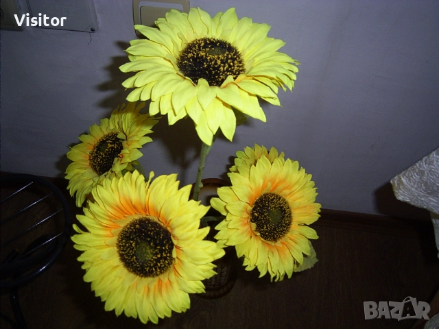 Ricoh Caplio RR30 , снимка 16 - Фотоапарати - 52896100