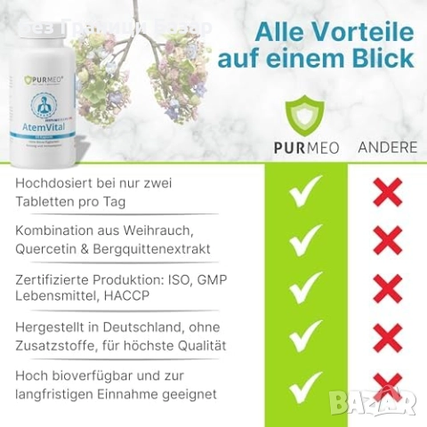 Нов Високоефективен веган комплекс NAC Кверцетин Бромелаин 60 капсули, снимка 3 - Хранителни добавки - 52774209