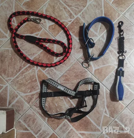 Нашийник против лай за куче, снимка 14 - За кучета - 47319572