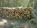 Дърва за огрев- дъб, бук , снимка 1