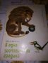 В една зоологическа градина-Леда Милева, снимка 1 - Детски книжки - 41797197