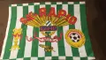 Голямо футболно Знаме на РАПИД ВИЕНА (Австрия) SK Rapid Wien - 130 на 95, с джоб за прът, снимка 1