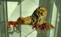 Стара , българска статуетка на лъв .Размер 20 см.Малки фигурки на животни от стрелбище . 