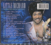 Little Richard, снимка 2