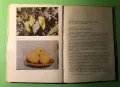 Стара Книга Плодовете и Зеленчуците Храна и Лечебно Средство, снимка 11