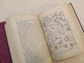 История на човѣчеството - Х. В. Луунъ (1945, Луксозна изработка, Отлично състояние), снимка 14