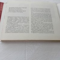 Густав Хусак-фотоалбум с автобиография-антикварна, снимка 5 - Енциклопедии, справочници - 41706070